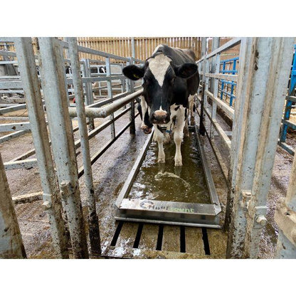 Hoofcount Automatic Footbath Standard 3 Meter