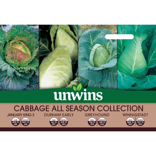 Unwins Seed Packet Cabbage All Season Collection