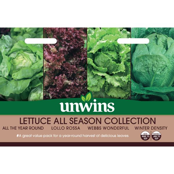 Unwins Seed Packet Lettuce All Season Collection