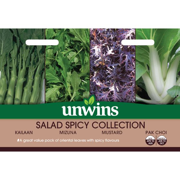 Unwins Seed Packet Salad Spicy Collection