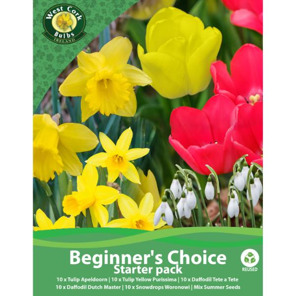 West Cork Bulbs Beginner&