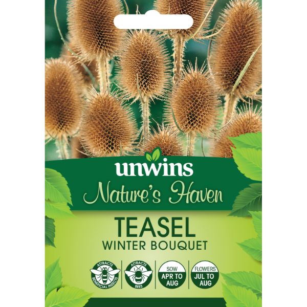 Unwins Seed Packet Natures Haven Teasel Winter Bouquet