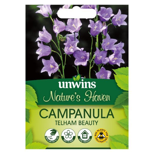 Unwins Seed Packet Natures Haven Campanula Telham Beauty
