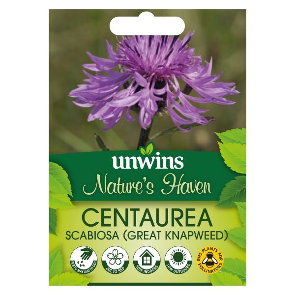 Unwins Seed Packet Natures Haven Great Knapweed