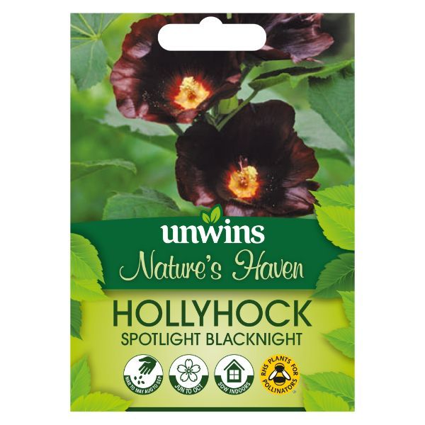 Unwins Seed Packet Natures Haven Hollyhock Spotlight Blacknight