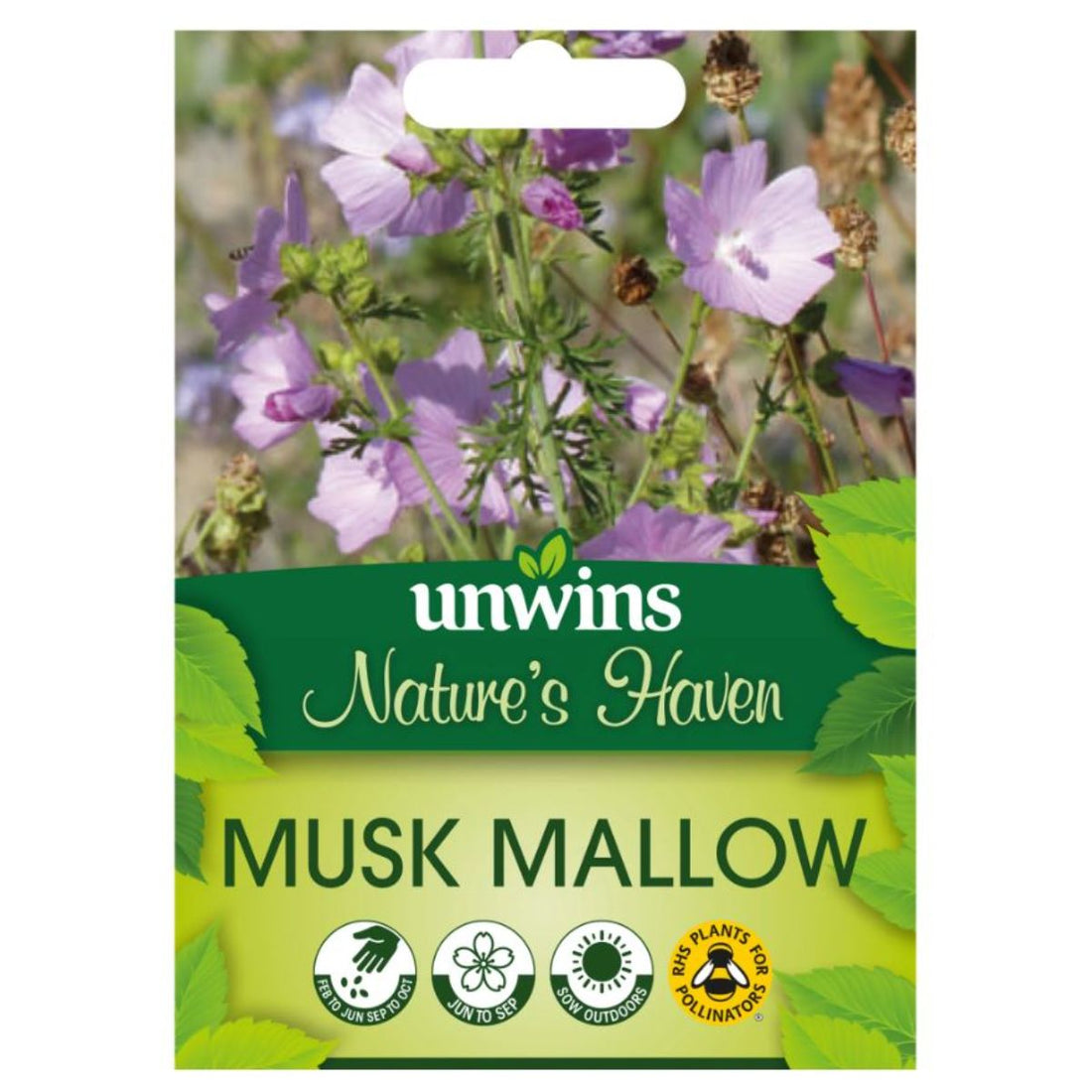 Unwins Seed Packet Natures Haven Musk Mallow