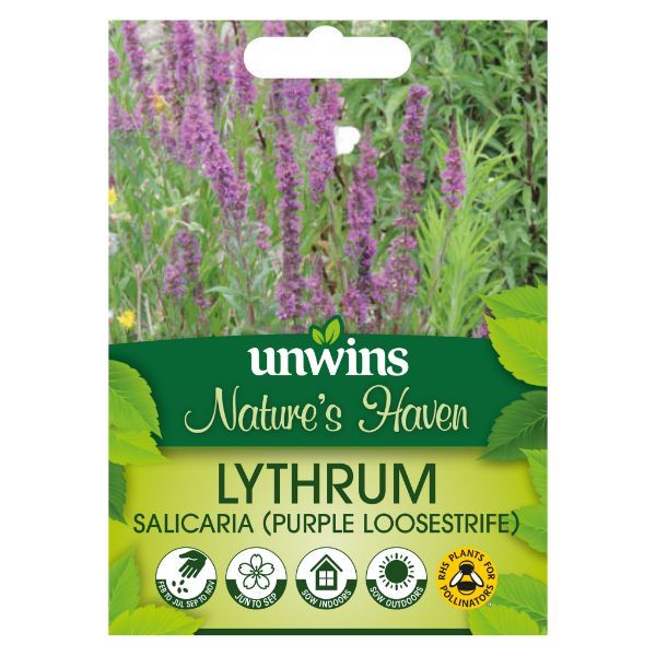 Unwins Seed Packet Natures Haven Purple Loosestrife
