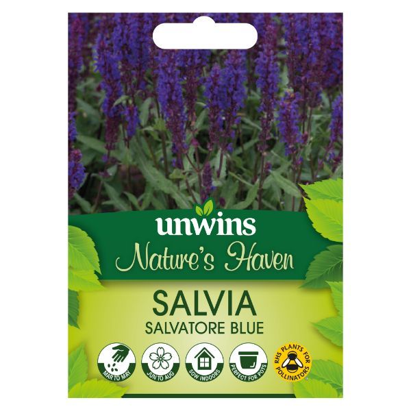 Unwins Seed Packet Natures Haven Salvia Salvatore Blue