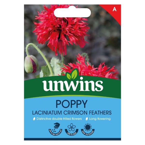 Unwins Seed Packet Poppy (Laciniatum) Crimson Feathers