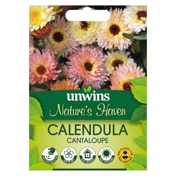 Unwins Seed Packet Natures Haven Calendula Cantaloupe