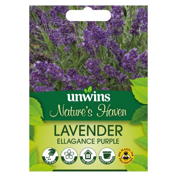 Unwins Seed Packet Natures Haven Lavender Ellagance Purple