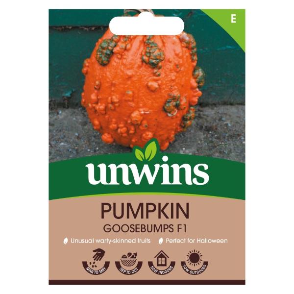 Pumpkin Goosebumps F1