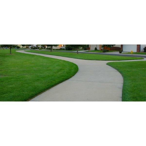 Easy Gardener Emerald Lawn Edging 4 Ft