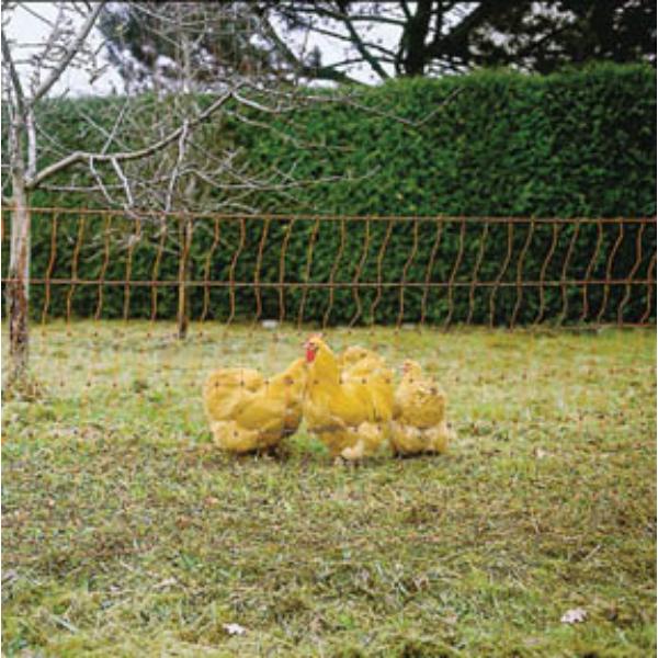 Electro Power Poultry Netting