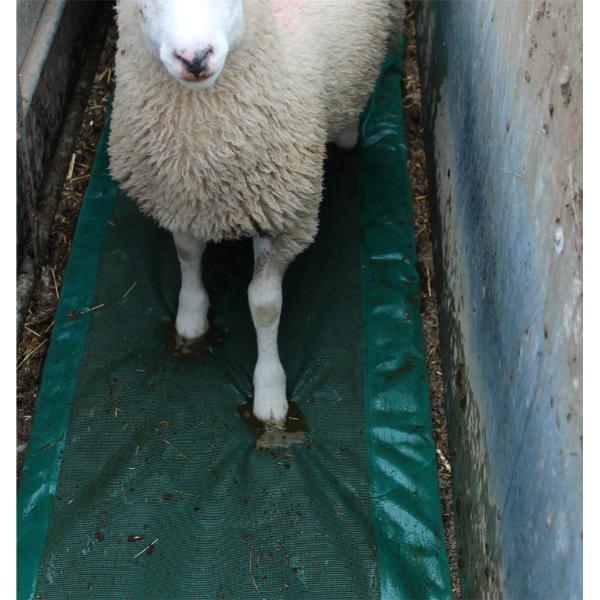 JFC Sheep Foam Footbath