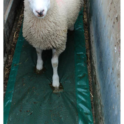 JFC Sheep Foam Footbath