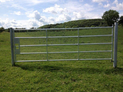Gibney HG1 14&