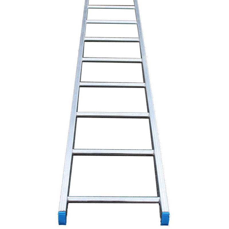 5M Single Ladder