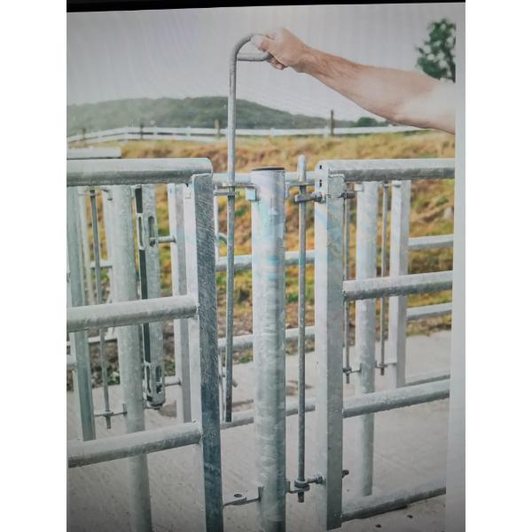 Pins For Crush Section