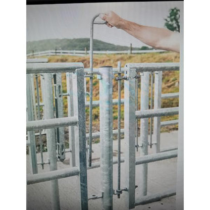 Pins For Crush Section