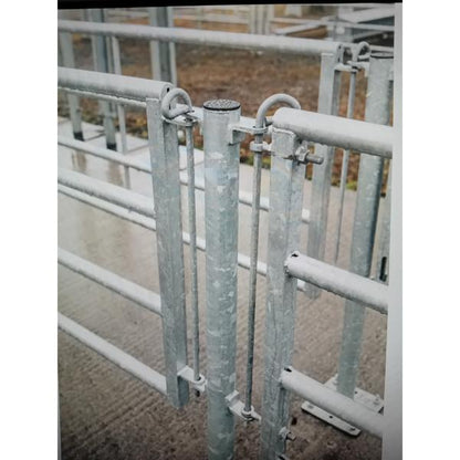 Pins For Crush Section