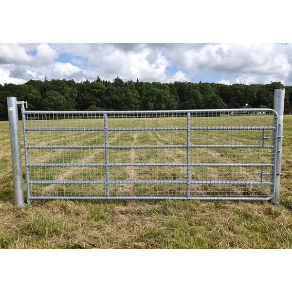 M8 10Ft Full Mesh Galvanised Gate