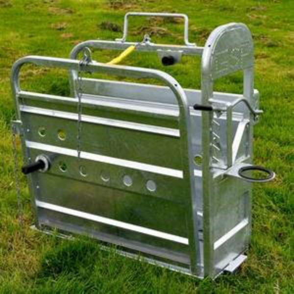 Gibney Galvanised Calf Dehorning Crate With Wheels