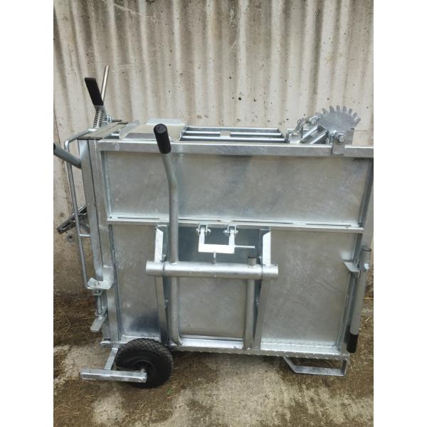 Ultimate Calf Dehorning Crate
