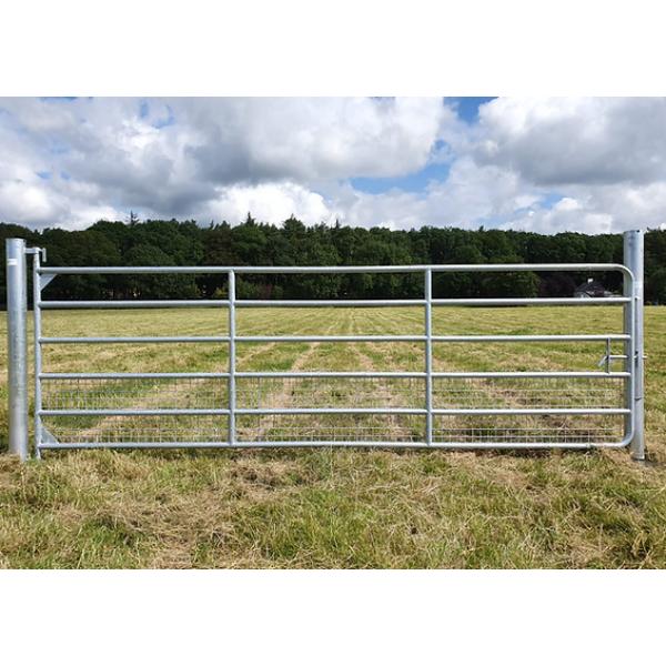 M8 8Ft Half Mesh Galvanised Gate