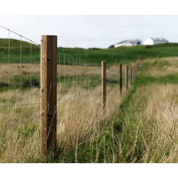 Octo Tanasote Fence Post 80mm x 1800mm (3&quot;x6FT)