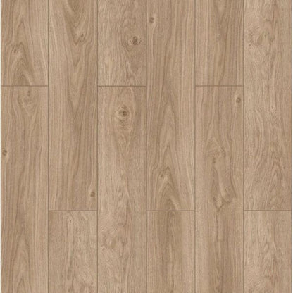 Tokyo Oak 12mm AC5 Flooring 2.24Sq Yd