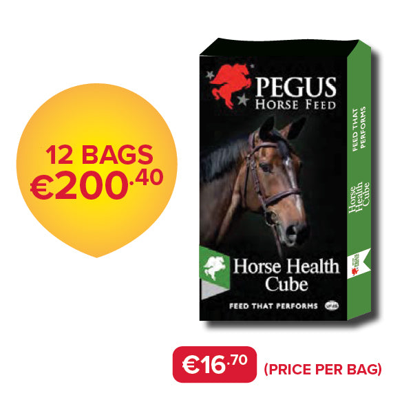 Pegus Horse Feed - Horse Health Cube (Bundle of 12)