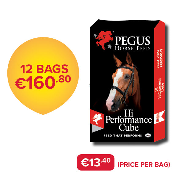 Pegus Horse Feed - Hi Performance Cube (Bundle of 12)