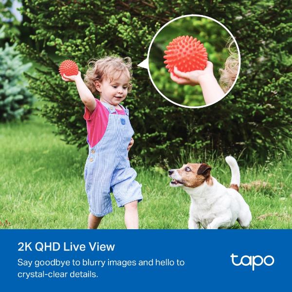Tapo Solar-Powered Security Camera Kit