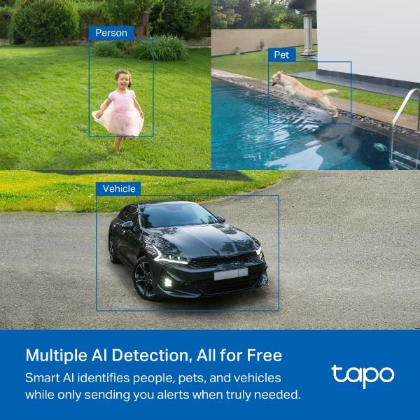 Tapo Solar-Powered Security Camera Kit