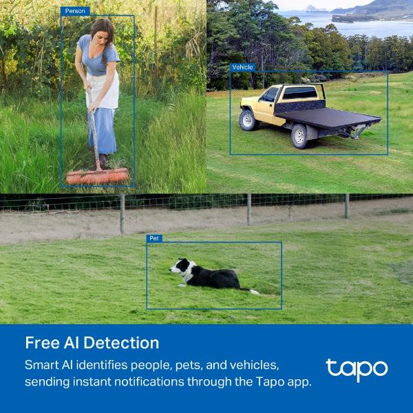 Tapo Outdoor Pan/Tilt 4G LTE Camera
