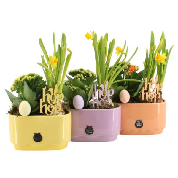 Easter &