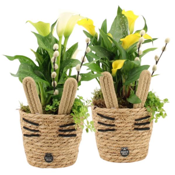 Easter Whiskered Spring Woven Baskets 35cm