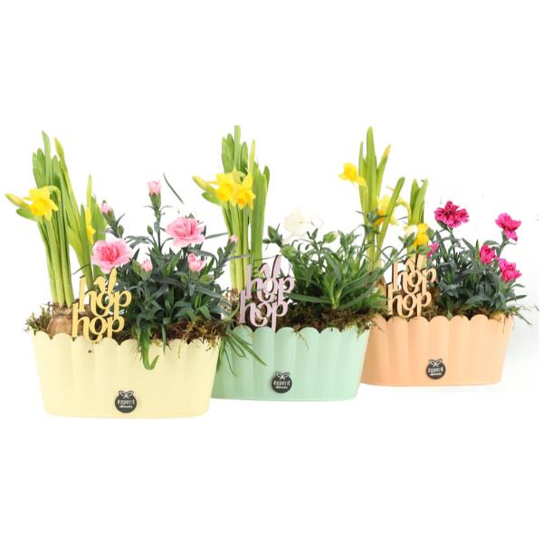 Easter &