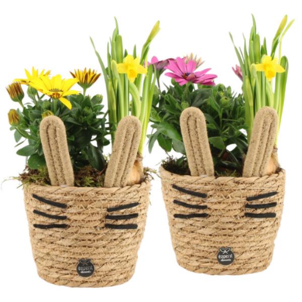 Easter Whiskered Spring Woven Baskets