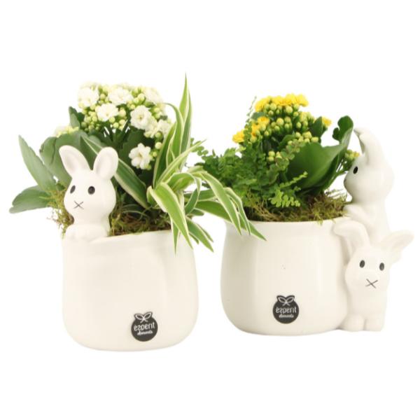 Easter White Ceramic Planters with Rabbit Figurines 25cm