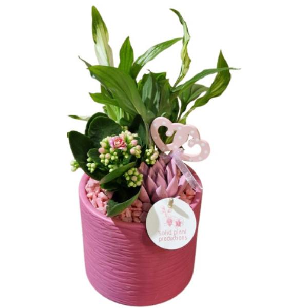 Mother’s Day Ceramic Pink Planter