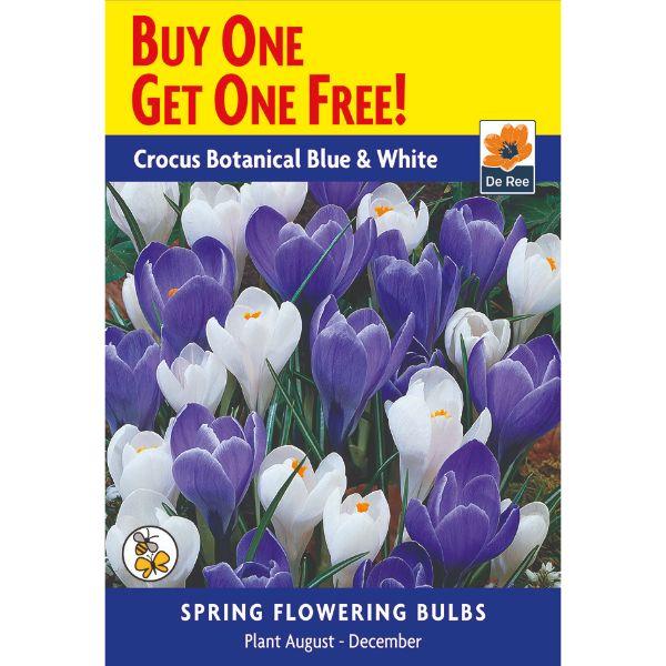 De Ree - Buy One Get One Free Bulb Pack
