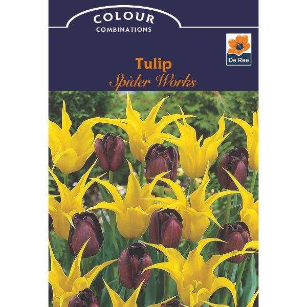 De Ree - Magical Mix &amp; Colour Combo Pack