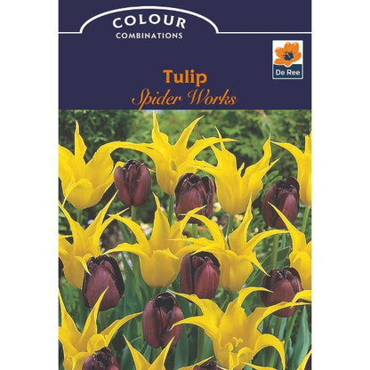 De Ree - Magical Mix &amp; Colour Combo Pack