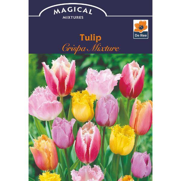 De Ree - Magical Mix &amp; Colour Combo Pack