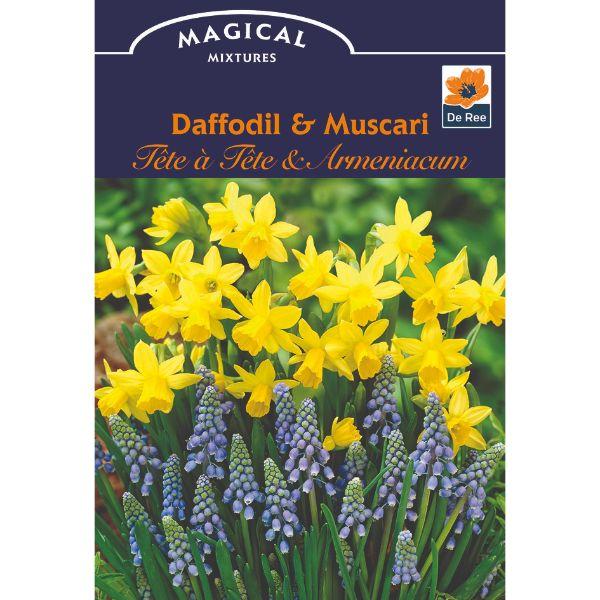 De Ree - Magical Mix &amp; Colour Combo Pack