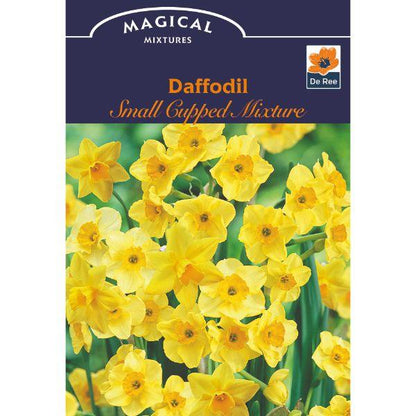 De Ree - Magical Mix &amp; Colour Combo Pack