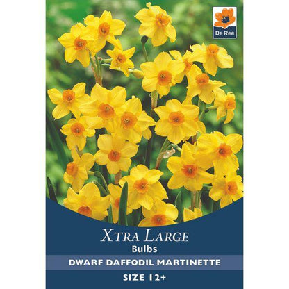 De Ree - Xtra Large Bulbs 