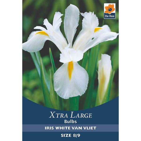 De Ree - Xtra Large Bulbs 